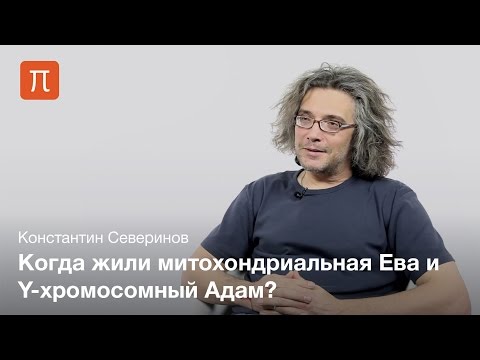 Каковы основные теории объясняющие происхождение человека как биосоциального существа в чем они. Смотреть фото Каковы основные теории объясняющие происхождение человека как биосоциального существа в чем они. Смотреть картинку Каковы основные теории объясняющие происхождение человека как биосоциального существа в чем они. Картинка про Каковы основные теории объясняющие происхождение человека как биосоциального существа в чем они. Фото Каковы основные теории объясняющие происхождение человека как биосоциального существа в чем они