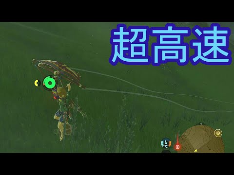 【ブレワイ】依頼を受けて、超加速してみた【ドリカラ】【ゼルダの伝説,ブレスオブザワイルド,BotW,字幕実況,バグ,検証】