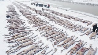 Truth About Living in Alaska No One Talks About