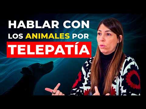 Cómo HABLAR con tu MASCOTA, Aprende a escucharla con TELEPATÍA y CIENCIA