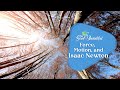 Isaac Newton and the Principles of Motion