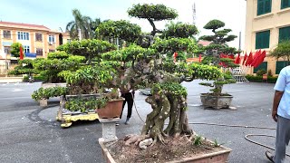 Sanh Nam Điền Đồng Giá 30 Triệu Không Mặc Cả