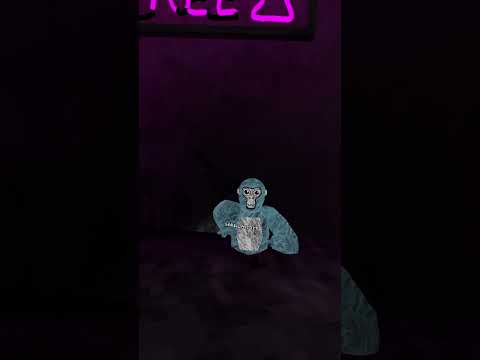 Trolling As a NOOB With The FINGER PAINTER! #gorillatag #vr #gtag #funny