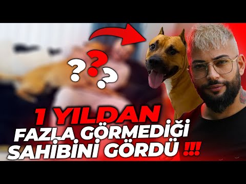 1 YILDAN FAZLA AYRI KALDIĞI SAHİBİNİ SONUNDA GÖRDÜ !! İLK TEPKİSİ...