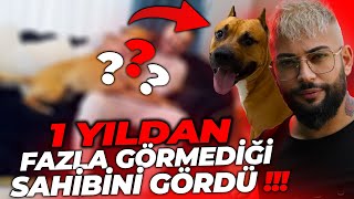 1 YILDAN FAZLA AYRI KALDIĞI SAHİBİNİ SONUNDA GÖRDÜ !! İLK TEPKİSİ...