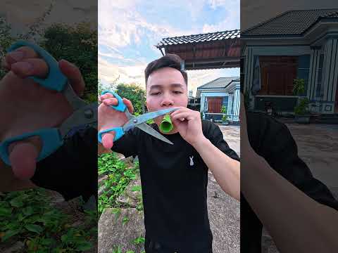 Kèn lá chuối đẳng cấp 🥳🎉 - trò chơi tuổi thơ ! #shorts
