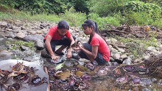 Life in jungle: Catch and cook crabs Is delicious food for dinner, Survival cooking