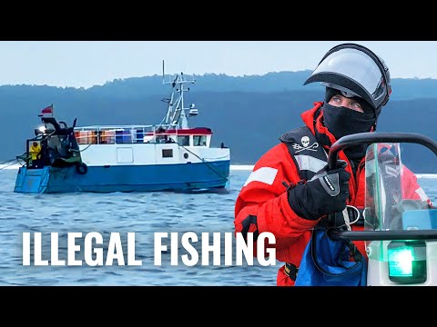 Catching Poachers | On Patrol With Sea Shepherd