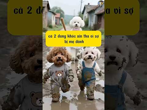 Maomao nghịch bùn bẩn bị mẹ mắng #ai #cute #shorts #dog #poodle