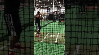 Alex Mejia Marchese Bats