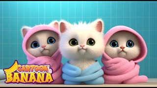 Los tres gatitos y su compañerismo - cancion de bebe | Banana Cartoon