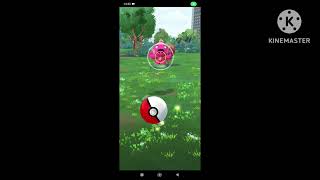 Tinkatink community day shiny catches
