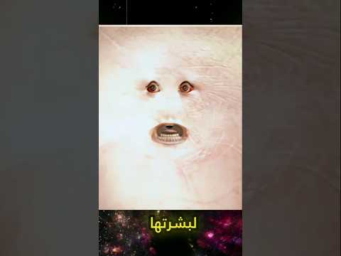 انقراض البشر #shorts
