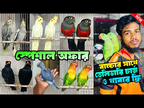 ভাই কসম এই অ' ফার কেউ দিবেনা | চন্দনা, ময়না, ককাটেল, কনুর ও লাভবার্ড পাখিতে রমজান মসের সেরা অফা' র।