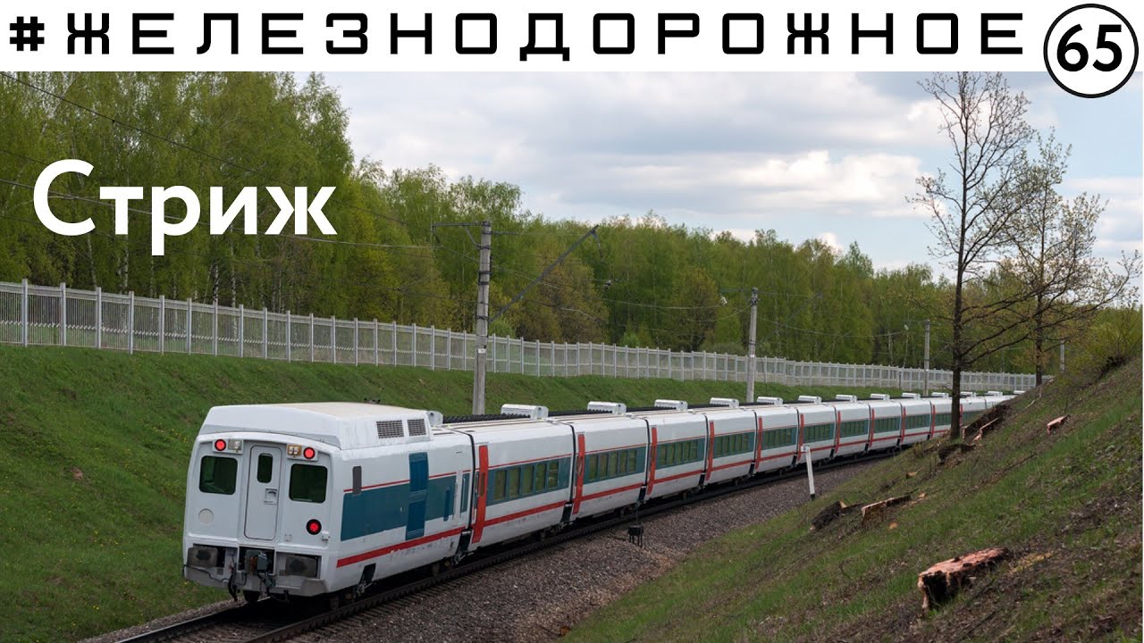 Полный обзор поезда Стриж. Все варианты размещения, особенности, история