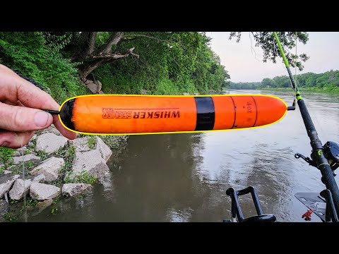Bobber Fishing for GIANT FISH!!! (Full Moon Fishing)