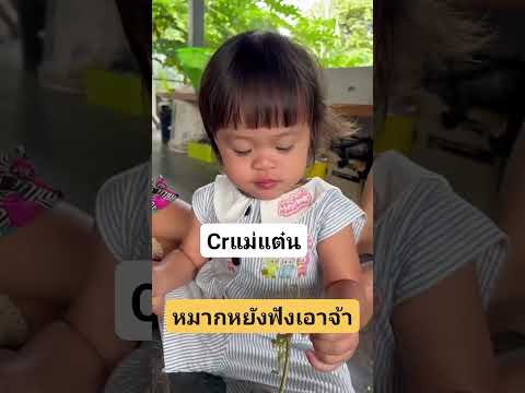 น่ารักจังเลยลูก #เพชรพลอย #ลูกของแอนบอย #ขออนุญาตเจ้าของคลิปด้วยนะค่ะ