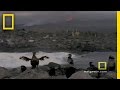 Galapagos Islands and Their Significance