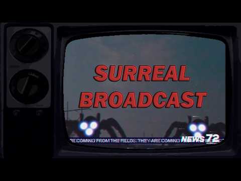 ARAÑAS GIGANTES HABITAN AQUI | Surreal Broadcast (Terror Analogico)