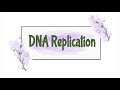 Exploring DNA Replication Processes