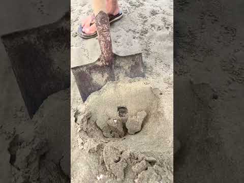 रेगिस्तान के छेद के अंदर मिला राज़ #shortsvideo