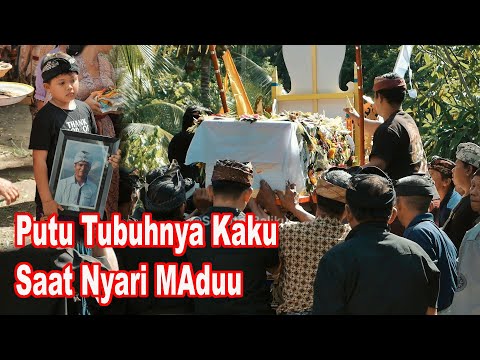 NIAT NYARI MADU - Putu ditemukan Bersujud Dan KAKU