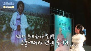 [나이야가라시즌4_178회] 춘천_ 노인의 날 '3대 트롯제' (feat. 딥페이크 어머니와의 만남) 다시보기