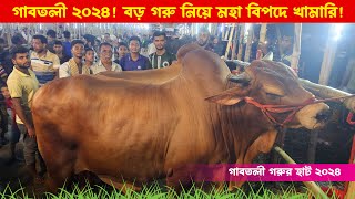 গাবতলী হাটে বড় গরু নিয়ে মহা বিপদে প্রান্তিক খামারি || গাবতলী গরুর হাট ২০২৪ || কৃষি ঘর