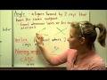 Geometry Fundamentals: Points, Lines, and Angles