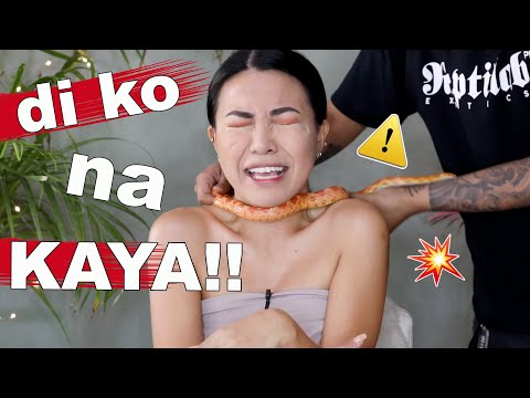Grabeng MAKE UP Extreme CHALLENGE!! (Reptile Edition)