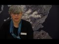 Understanding Elain Simpson and Hansard