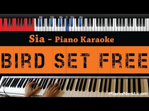 Sia – Bird Set Free – HIGHER Key (Piano Karaoke / Sing Along)