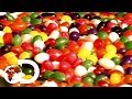 Jelly Bean Production Process