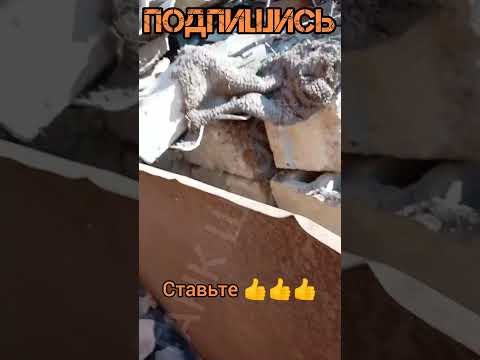 СВО Есть кто Дома? #сво #своихнебросаем #война #позитив #топ #shortsyoutube