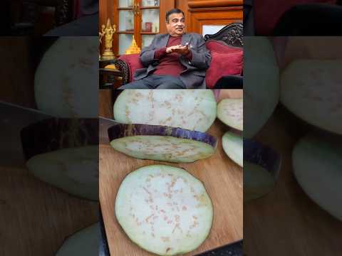 Nitin Gadkari Ji Dahi baingan Recipe  #chefvinayak