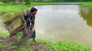 Amazing Village Catching Fish By Cast Net in Pond | Fishing Video