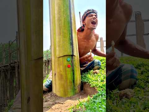 বেলতলী সোলেমান লেংটা দোহাই লেংটা দোহাই লেংটা 🤪 🙄 😁 #unfrezzmyaccount #funny #hariyanvisong #noselfi