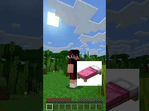 Minecraft Tapi Aku Gak Boleh Lihat Warna Pink