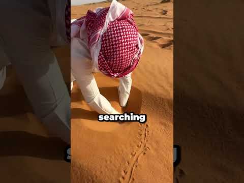 He Found this Little Fish Living In The Desert (📷 : asd141423)