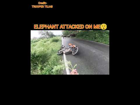 Elephant Attacked On Me 😮 #shorts #motovlog #bikeride #ktm #bike #rider #bike