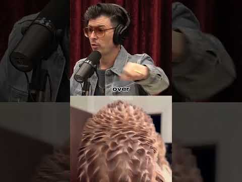 Joe Rogan on Falcon training