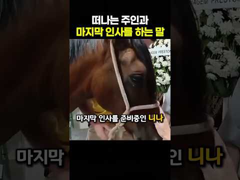 주인에게 건네는 마지막 인사