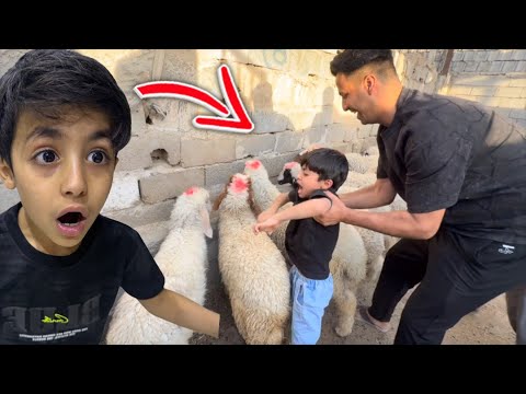 يمان يخاف من الخروف 🐑🤣