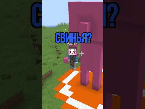 🐷Угадай картинку | CLEX #shorts