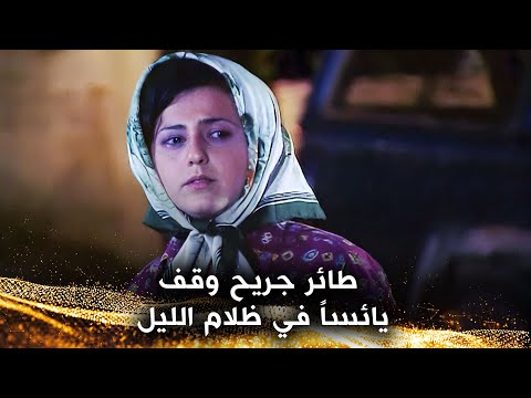 بقي وحيداً في الشارع - المستأجر