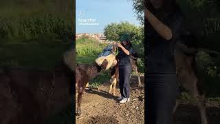 #اكسبلور #كوثر