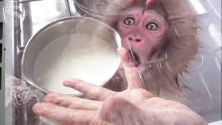 SALSA  BECHAMEL (Para Sonia) 🥰 y para vosotros también 🤗❤️ 💪👍🙌👏👏