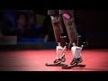 Bionic Limbs and Human Innovation