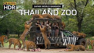 🇹🇭 4K HDR | Experience the Thrill Tiger Feeding 😱 Up Close & Wild! | Safari World Bangkok