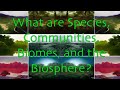 Exploring the 6 Levels of Ecological Organization